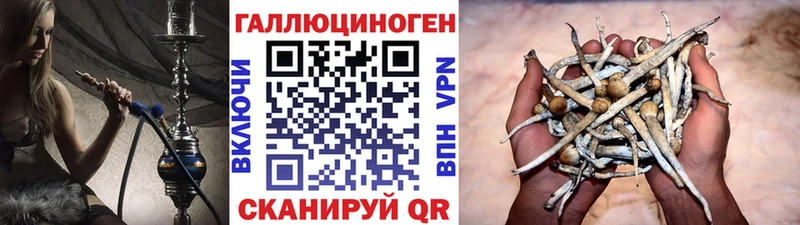 магазин продажи наркотиков  Бикин  Псилоцибиновые грибы ЛСД 
